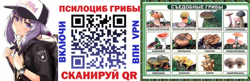 Купить закладки  Нижняя Тура  Галлюциногенные грибы мухоморы 
